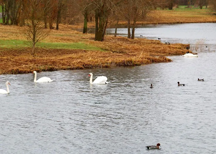 Waterfront In * Оттерндорф